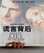 谎言背后