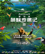 亚马逊萌猴奇遇记