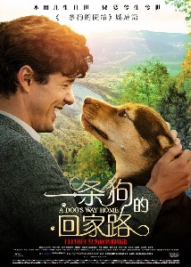 一条狗的回家路