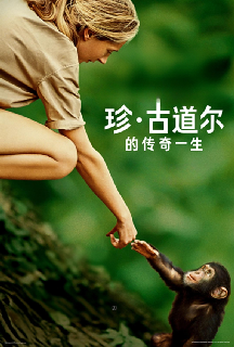 珍·古道尔的传奇一生